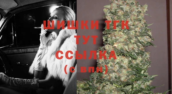 стафф Верхний Тагил