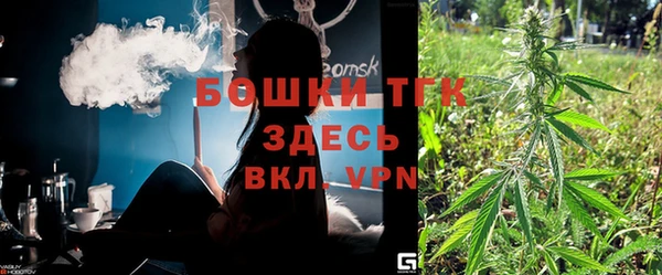 стафф Верхний Тагил