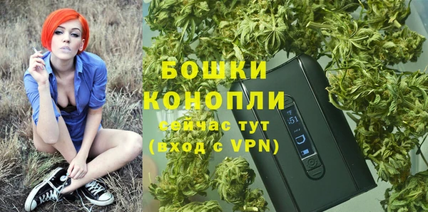 стафф Верхний Тагил