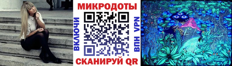 Галлюциногенные грибы MAGIC MUSHROOMS  mega как зайти  Красный Холм 